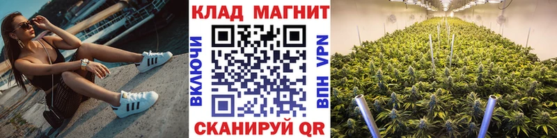 Виды наркоты Кирс MEGA маркетплейс  Кокаин  Гашиш  АМФЕТАМИН  Бошки Шишки  А ПВП 