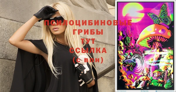 МДПВ Абаза