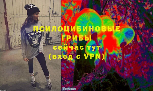МДПВ Абаза